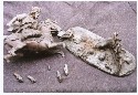 A spelter horse and rider before+after repair etc. (click to enlarge)